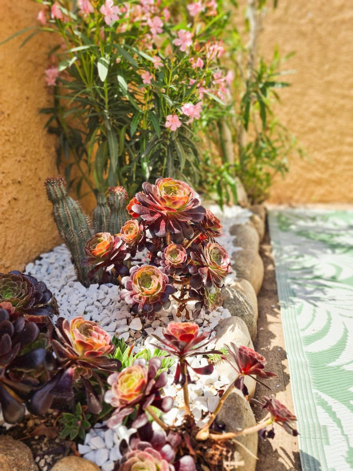 L'occitane Holiday home Fitou